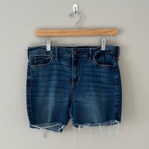 Hollister Indigo Denim Shorts